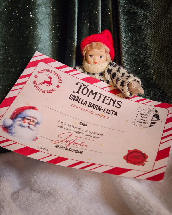 20241215_234550 20241215_234550